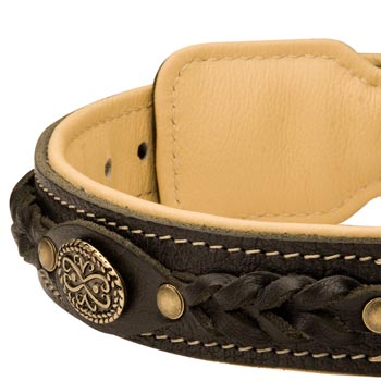  Leather Walking Fashion Collar for English Bulldog