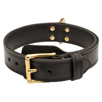 English Bulldog  Leather Collar with Easy in Use Buckle