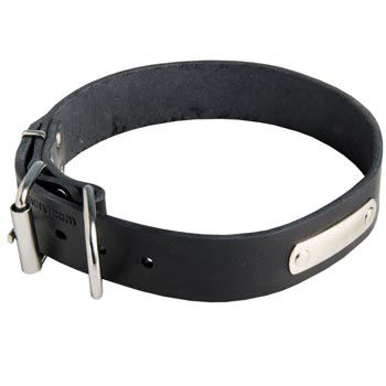 Leather English Bulldog Collar for Identification
