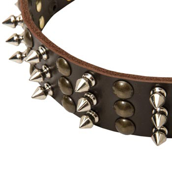 3 Rows of Spikes and Studs Decorative English Bulldog  Leather Collar