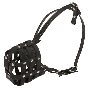 Leather Cage English Bulldog Muzzle Padded