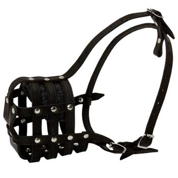 English Bulldog Muzzle Leather Cage for Daily Walking