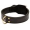 Training 2 Ply Leather English Bulldog Collar