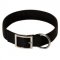 2 Ply Nylon English Bulldog Collar