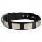 Nylon English Bulldog Collar Massive Nickel Plates