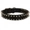 English Bulldog Nylon Collar Spiked