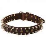3 Rows Leather Spiked and Studded English Bulldog Collar