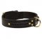 Incredible Design English Bulldog Braided Leather Collar