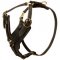 Padded Leather English Bulldog Harness for Agitation Training