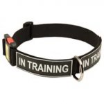 All Weather Nylon English Bulldog Collar with ID Patches