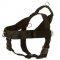 English Bulldog Harness Nylon with Patches