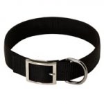 2 Ply Nylon English Bulldog Collar