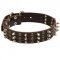 English Bulldog Spikes and Studs Rows Leather Dog Collar