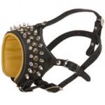 Royal Spiked and Studded Leather English Bulldog Muzzle