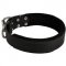 English Bulldog Durable Padded Leather Collar 40 mm