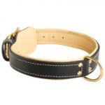 Padded Leather English Bulldog Collar