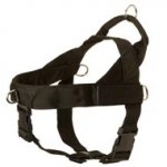 English Bulldog Harness Nylon with Patches