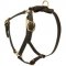 Y-Shaped Leather English Bulldog Harness for Tracking and Training