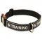 All Weather Nylon English Bulldog Collar with ID Patches