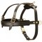 Leather English Bulldog Harness for Tracking and Pulling