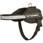 Nylon English Bulldog Harness with Reflective Strap for Training, Walking, Police Service, SAR and More