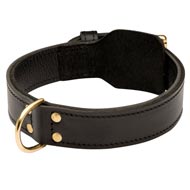 Training 2 Ply Leather English Bulldog Collar