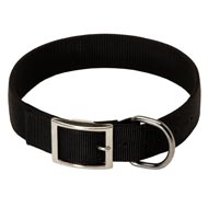 2 Ply Nylon English Bulldog Collar