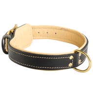 Padded Leather English Bulldog Collar