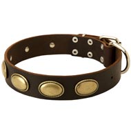 Designer Leather English Bulldog Collar with Oval Plates