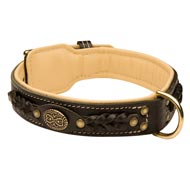 English Bulldog Leather Collar Braided