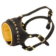 Open Nose Studded Leather English Bulldog Muzzle With Nappa Padding
