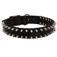 English Bulldog Nylon Collar Spiked