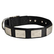 Nylon English Bulldog Collar Massive Nickel Plates