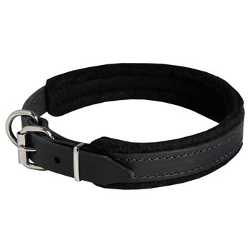 Padded Leather English Bulldog Collar Adjustable