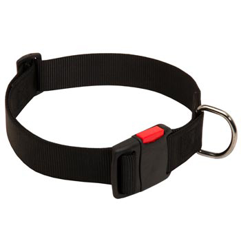 Nylon English Bulldog Collar for Training and Waling