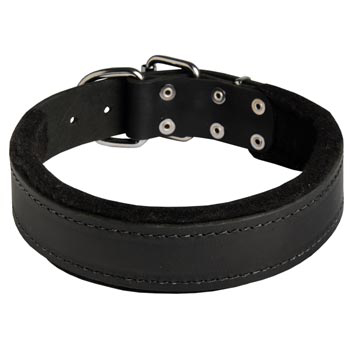 Adjustable English Bulldog Collar