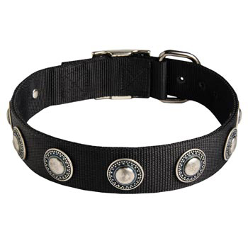 English Bulldog Dog Nylon Collar Awesome Design