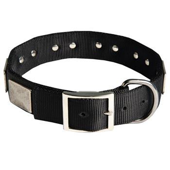 Designer Nylon Dog Collar Wide with Easy Release Buckle for   English Bulldog