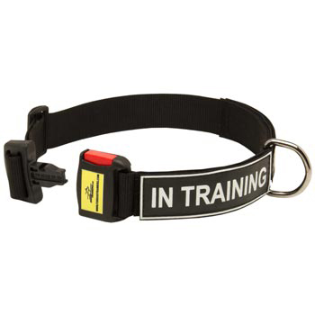 Nylon Dog Collar for English Bulldog Police Training
