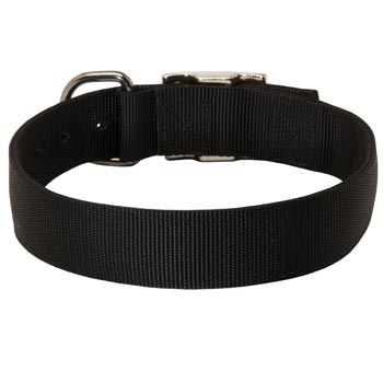 Nylon Collar for English Bulldog Comfy Training