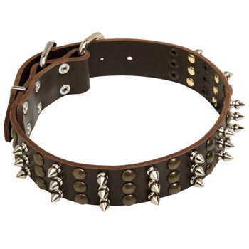English Bulldog Handmade Leather Collar 3  Studs and Spikes Rows