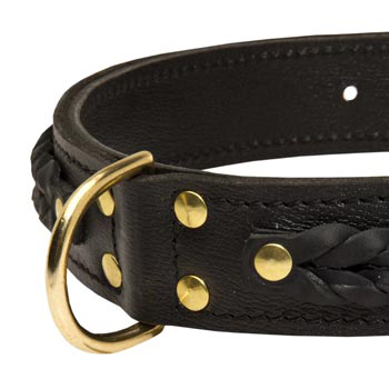 English Bulldog Wide Leather Collar with D-ring