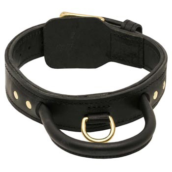 Leather Dog Collar with Handle for English Bulldog