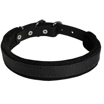 English Bulldog Collar Leather for Dog Protection Attack Training