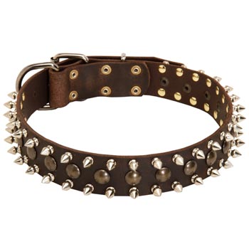 English Bulldog Leather Collar with Stylish Decoration