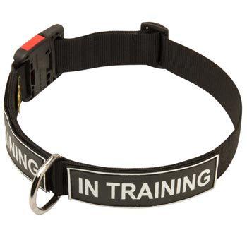 Nylon English Bulldog Collar With ID Patches