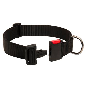 Reliable Nylon English Bulldog Collar