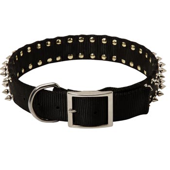 English Bulldog Wide Dog Nylon Collar Spiked