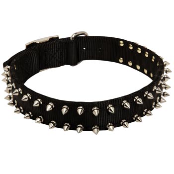 English Bulldog Dog Nylon Collar Steel Nickel Plated Spikes