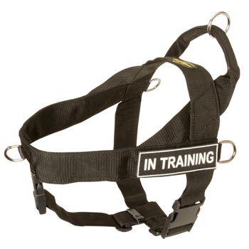 English Bulldog Nylon Harness with ID Patches